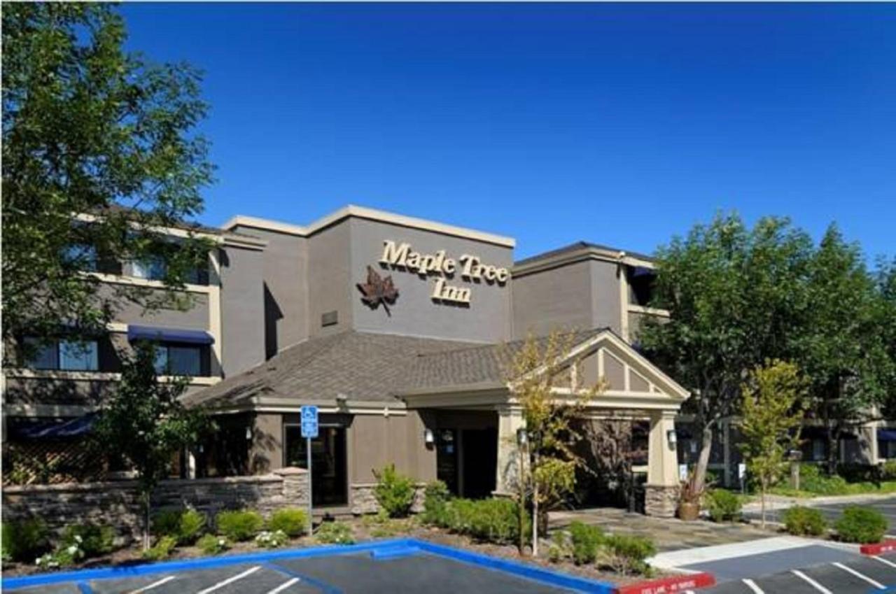 Maple Tree Inn Sunnyvale Exterior foto
