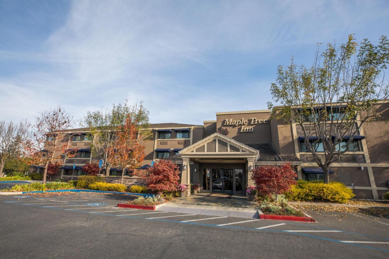 Maple Tree Inn Sunnyvale Exterior foto